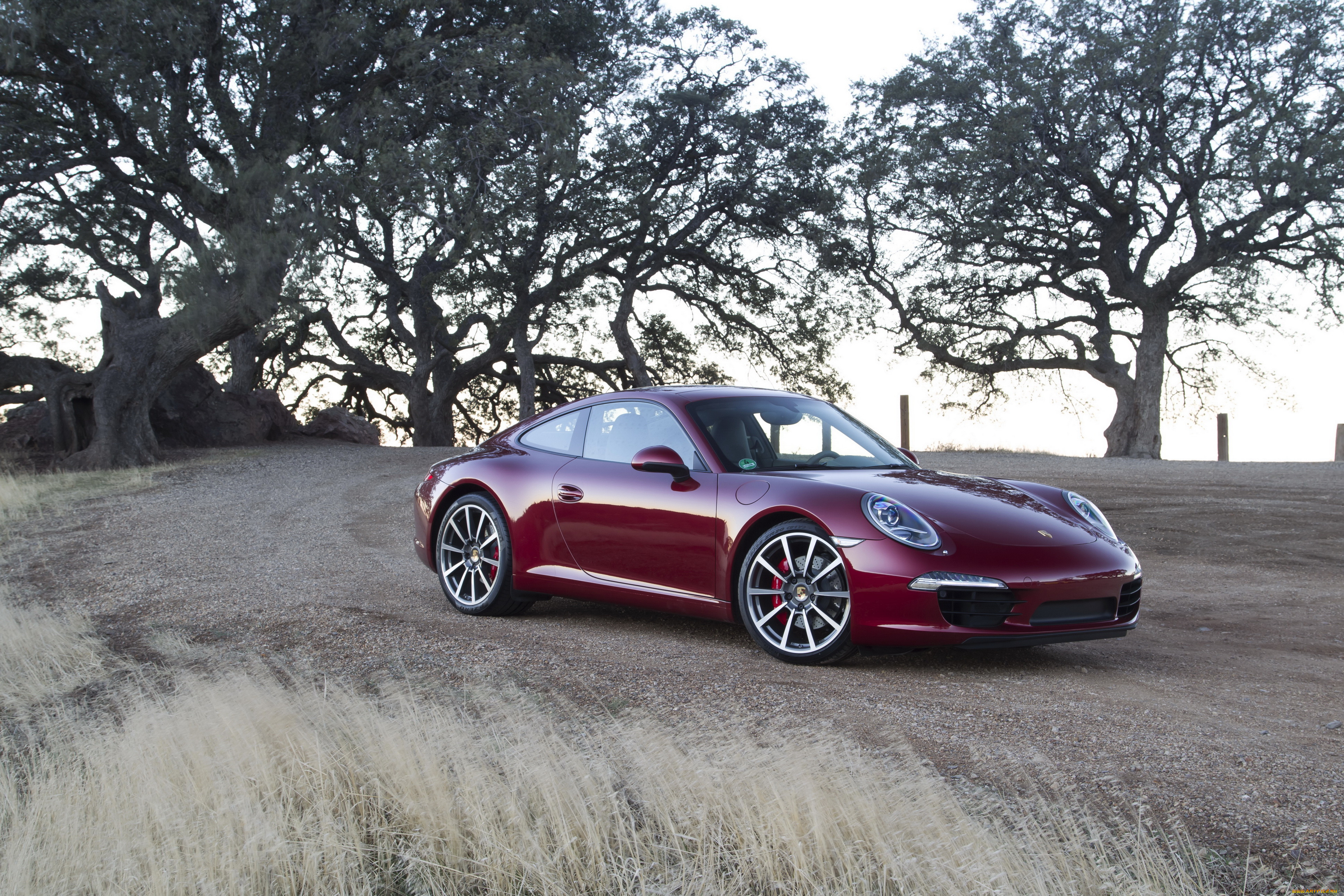 2011, porsche, 911, carrera, 